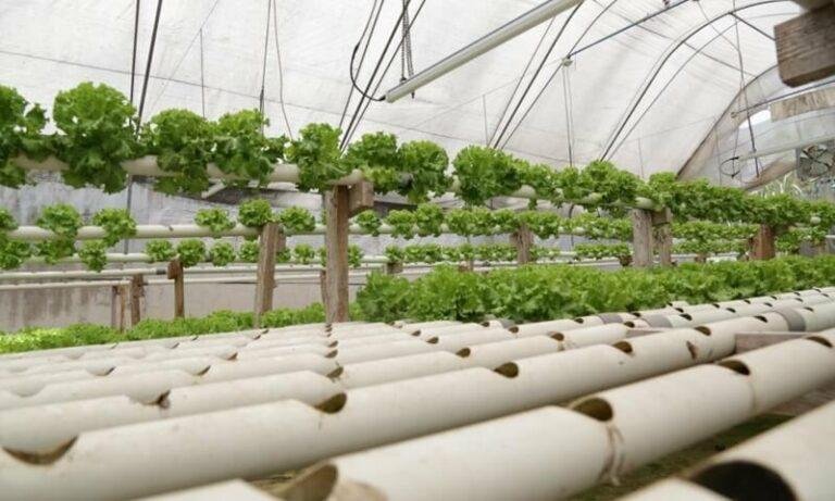 a-ce-f-e-edff--pe4sa05xnlyjcpab6xfdt8ufczbhibayzommbsrhs0