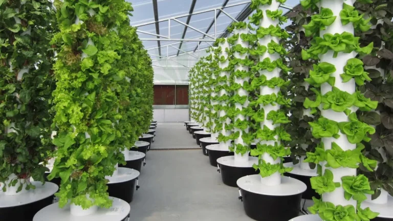 d6cce53fcc559f1baf8d4beecfd0d62b_original