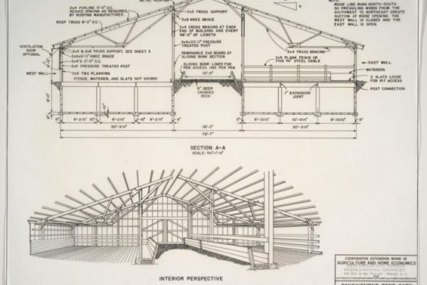 Confinement_beef_barns