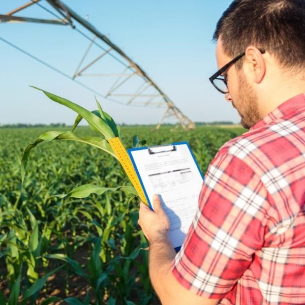 NTI5NzE_I3IlqMYQa4aYZPYi-0821-NOC